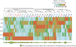 Lipase and Esterase Activity in Soils from Ancient Burial Vessels