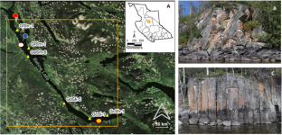 Materials science insights into Indigenous rock art painters and ochre pigment materiality at Babine Lake, Canada