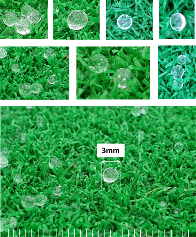 Observation of Ice Pellets and its Association with Meteorological Conditions in the Yeongdong Region of Korea