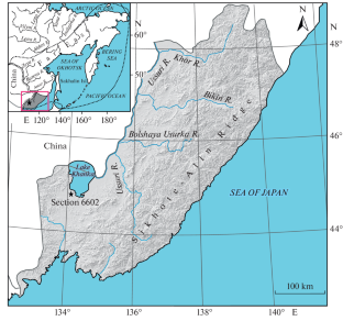 The First Pollen Record of the Younger Dryas in the South of the Russian Far East