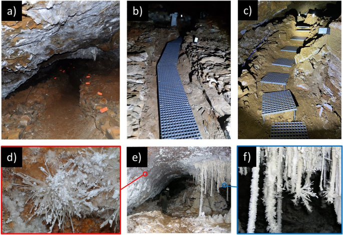 A Second Fungal Outbreak in Castañar Cave, Spain, Discloses the Fragility of Subsurface Ecosystems