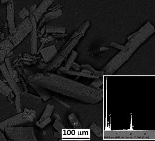 Inclusion of 1,8-octanediphosphonic acid in cucurbit[7]uril: a combined solid state and solution study