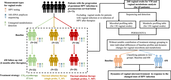 Metabolic profiles outperform the microbiota in assessing the response of vaginal microenvironments to the changed state of HPV infection