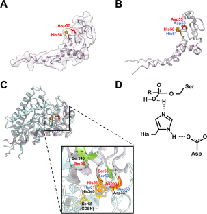 Microenzymes: Is There Anybody Out There?