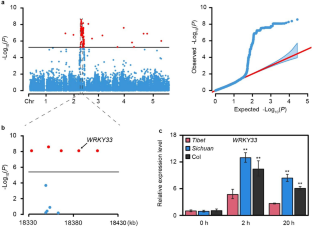 Coordination between two cis-elements of WRKY33, bound by the same transcription factor, confers humid adaption in Arabidopsis thaliana