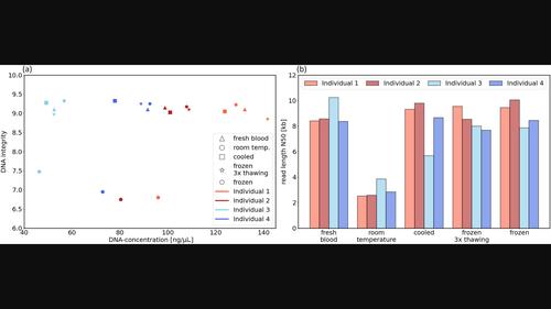 Evaluation of Automated Magnetic Bead–Based DNA Extraction for Detection of Short Tandem Repeat Expansions With Nanopore Sequencing