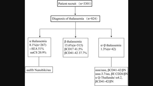 Molecular Characterization of α- and β-Thalassemia Among Children Less Than 18 Years Old in Guizhou, China