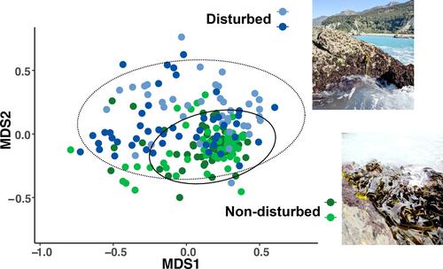 Host population crashes disrupt the diversity of associated marine microbiomes