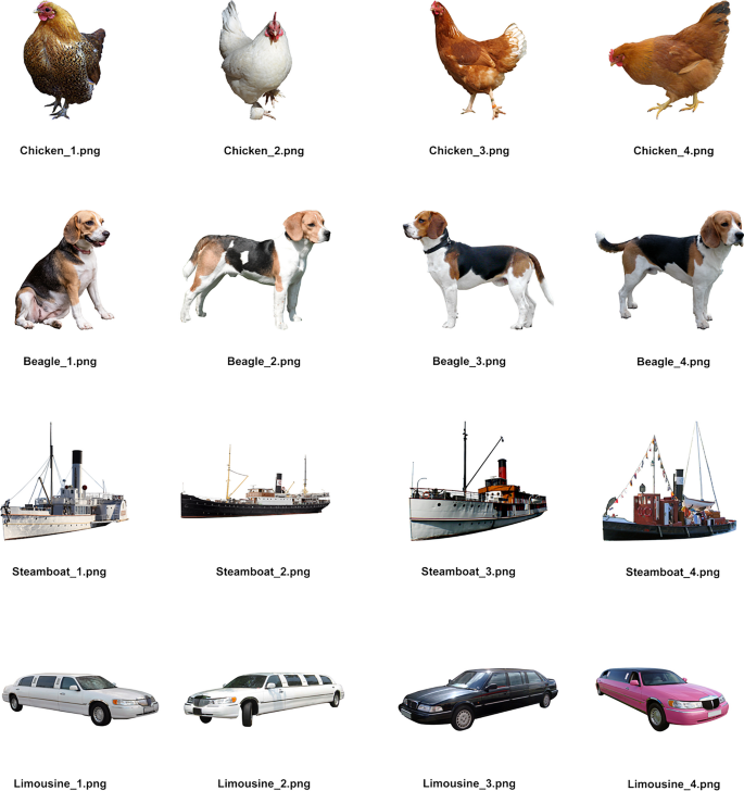 Timed picture naming norms for 800 photographs of 200 objects in English.