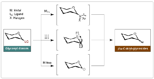 Recent advances in the synthesis of C-Aryl-glycosides since 2019