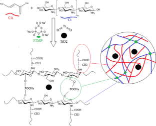 Preparation and characterization of a chitosan/TiO2 nanocomposite hydrogel intended for the photocatalytic degradation of pollutants