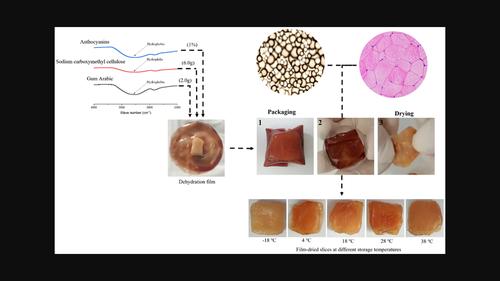 Effects of Storage Temperatures and Times on Drying Chicken Breasts Using Film-Drying: A New Application of Polymeric Film for Food Preservation