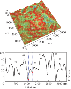 On the Material of a Sensing Element Based on Tin Dioxide for a Gas Sensor