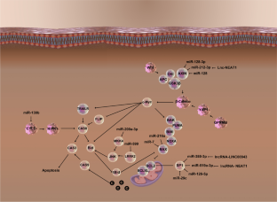 Parkinson's Disease and MicroRNAs: A Duel Between Inhibition and Stimulation of Apoptosis in Neuronal Cells.