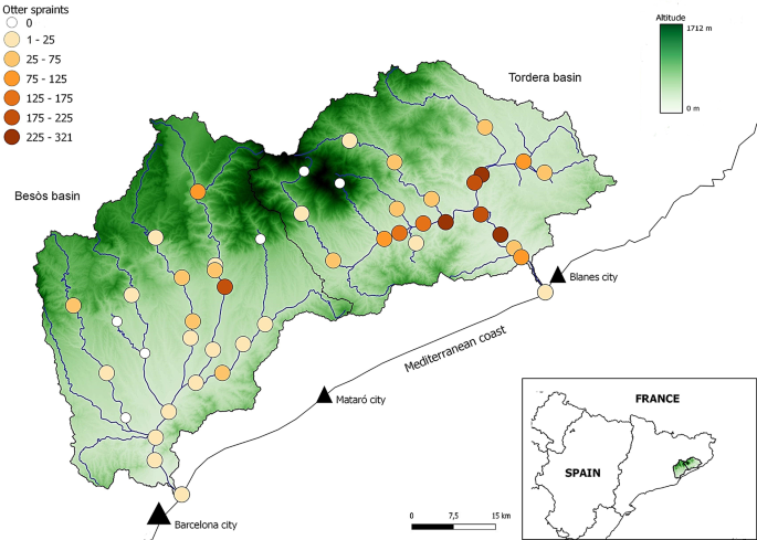 Human disturbance and habitat structure drive eurasian otter habitat selection in heavily anthropized river basins