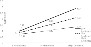 Association Between Insomnia and Depressive Symptoms Among Law Enforcement Personnel: The Moderating Role of Resilience