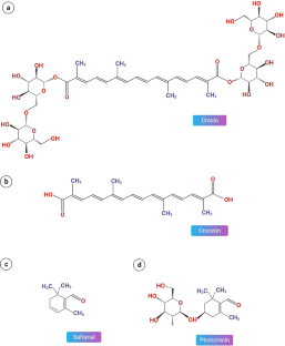 Unravelling role of crocin for the treatment of Alzheimer’s and Parkinson’s disease: sojourn from food to nanomedicine