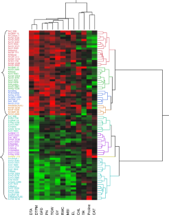 Assessment of terminal heat tolerance ability of wheat genotypes based on chemometric analysis and agro-physiological traits