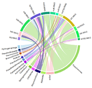Oxygen mediated mobilization and co-occurrence of antibiotic resistance in lab-scale bioreactor using metagenomic binning.