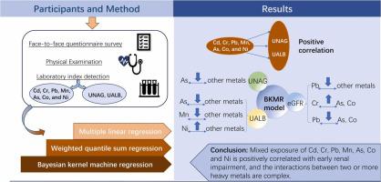 Analysis of relationship between mixed heavy metal exposure and early renal damage based on a weighted quantile sum regression and Bayesian kernel machine regression model