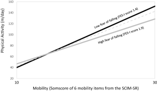 Correlates of physical activity in ambulatory people with spinal cord injury during the first year after inpatient rehabilitation