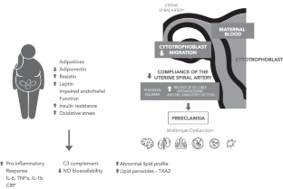 The Role of Obesity in the Development of Preeclampsia.