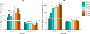 Effect of nitrogen and iron synergistic application on physiological growth, berry quality, and flavonoid content of wine grapes