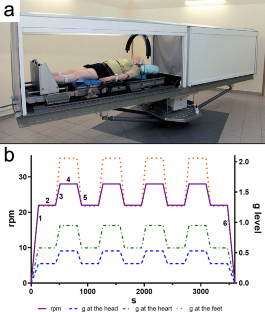 Human Postural Responses to Artificial Gravity Training