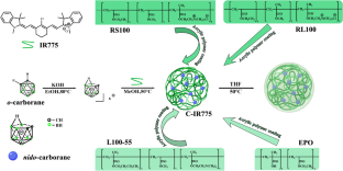 Based on Eudragit® encapsulated ionic polymer IR775@nido-carborane strategy: release, bioactivity and tumor cell imaging studies in simulated gastrointestinal environment