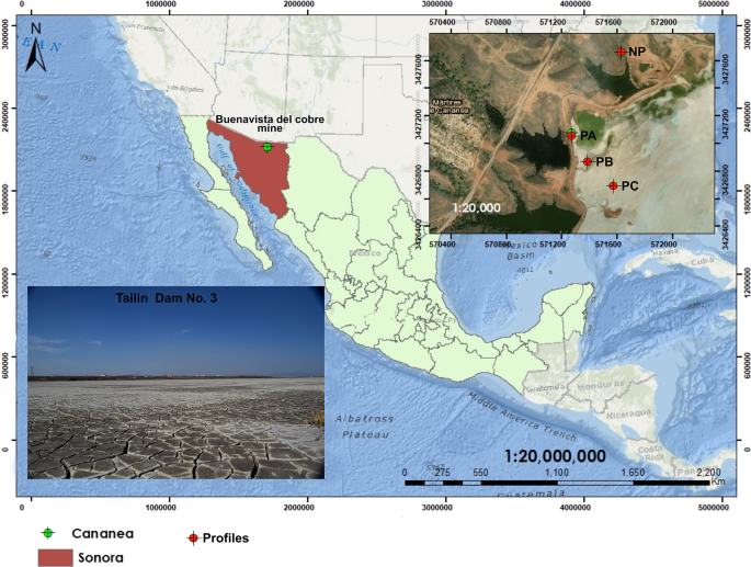 Development of sustainable hydromorphic Technosols within artificial wetlands in mining landscapes: the effects of wastewater and hydrothermal geological materials