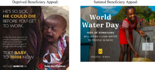 Showcase the smiles or the tears? How elicited perspectives determine optimal charity appeal content