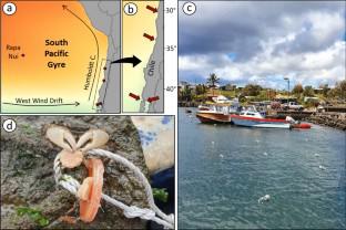 Water column-based assays underestimate benthic predation pressure in mid-latitude systems