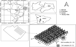 Bayesian Inference of Soil Traits from Green Manure Fields in a Tropical Sandy Soil