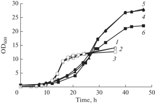 Effect of Knockout of the PPN1 Polyphosphatase and VTC4 Polyphosphate Synthetase Genes on Saccharomyces cerevisiae Growth on Ethanol and Its Mitochondrial Polyphosphates