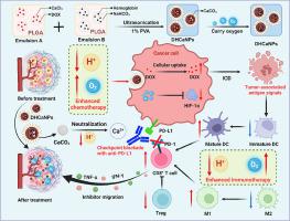 Acidic/hypoxia dual-alleviated nanoregulators for enhanced treatment of tumor chemo-immunotherapy