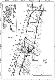 Forty years of a salt marsh formation in the Wadden Sea: surface elevation, sediments, vegetation and bottom fauna