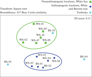 Effect of Hydrocarbon Pollution on the Fungal Communities of the Littoral Sediments of the White and Barents Seas