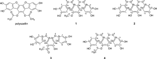 Photoreaction products of extract from the fruiting bodies of Polyozellus multiplex