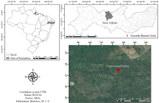 Divergent hydraulic strategies of two deciduous tree species to deal with drought in the Brazilian semi-arid region