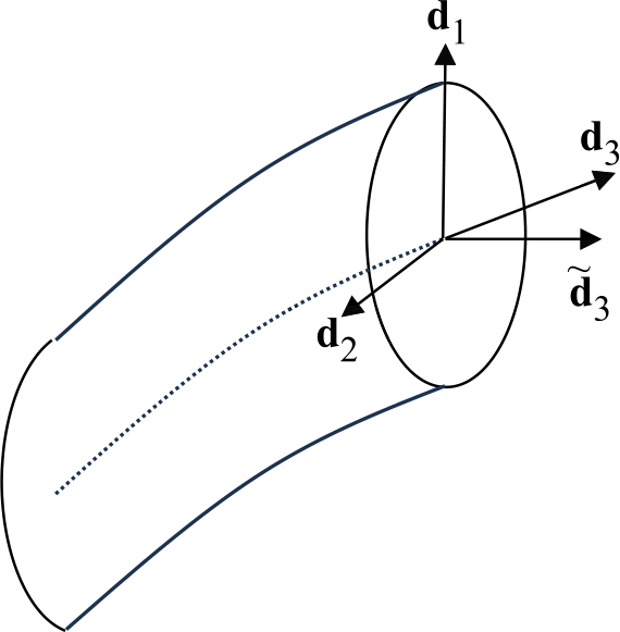 Angular Momentum in a Special Nonlinear Elastic Rod