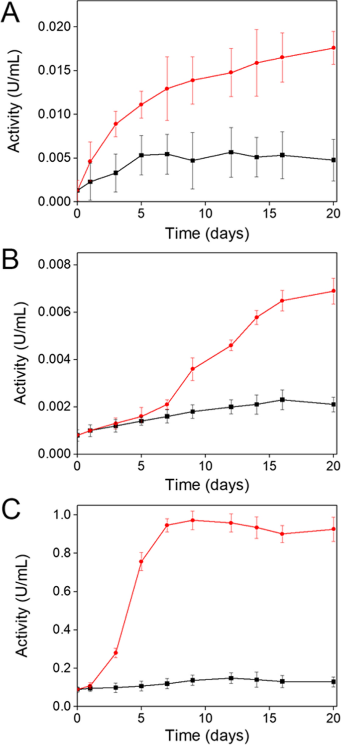 A novel laccase from Trametes polyzona with high performance in the decolorization of textile dyes.