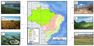 Soil science research in Brazilian terrestrial biomes: A review of evolution, collaboration, current topics, and impact