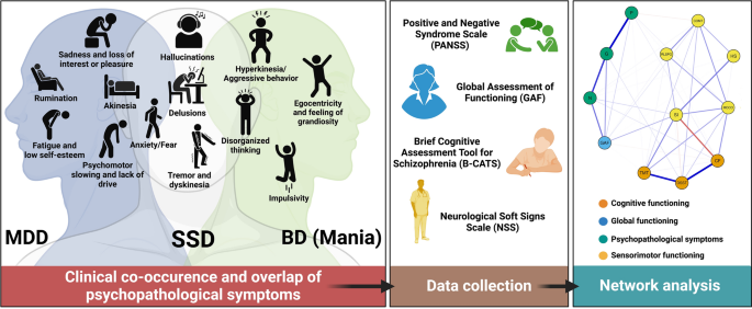 Deciphering the interplay between psychopathological symptoms, sensorimotor, cognitive and global functioning: a transdiagnostic network analysis.