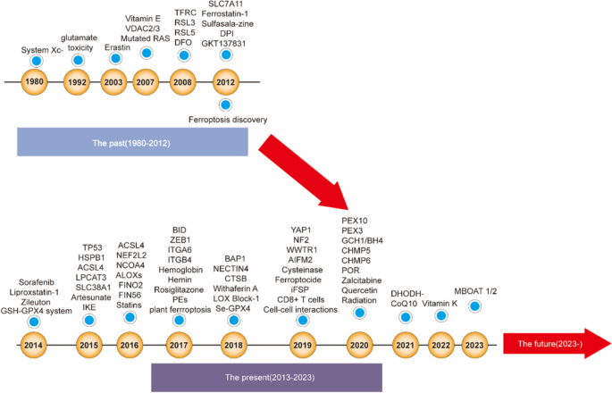 Ferroptosis mechanisms and regulations in cardiovascular diseases in the past, present, and future.