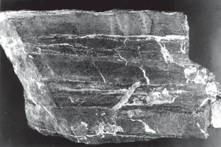 Chapter 5. The Phosphorites of Khuvsgul as a Model Object