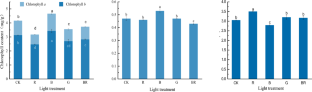 Response of photosynthetic pigments, gas exchange and chlorophyll fluorescence parameters to light quality in Phoebe bournei seedlings