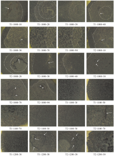 Porosity of Iron-Ore Pellets at Different Stages of Roasting and Reduction