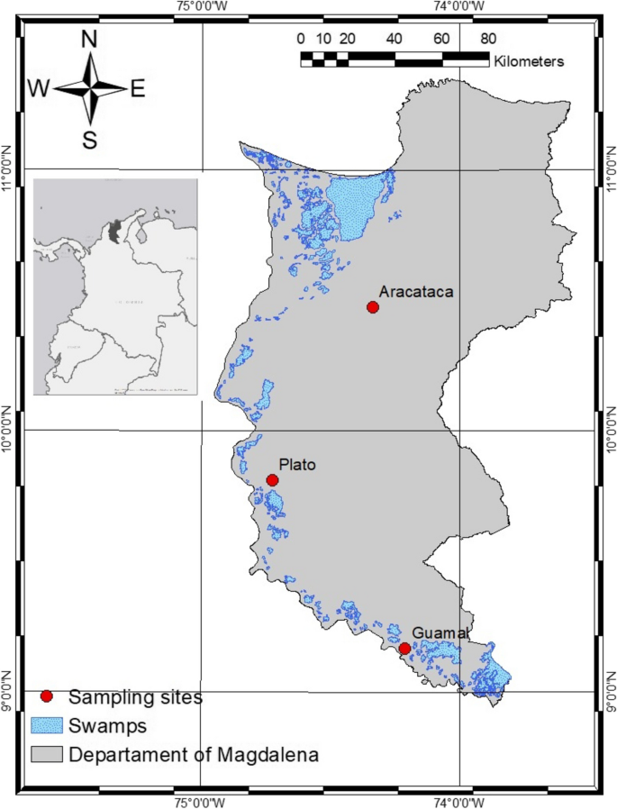 Effect of intraspecific seed trait variation on the germination of eight tropical dry forest species