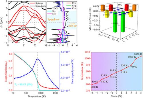 Room-temperature ferromagnetism and half-metallicity in monolayer orthorhombic CrS2