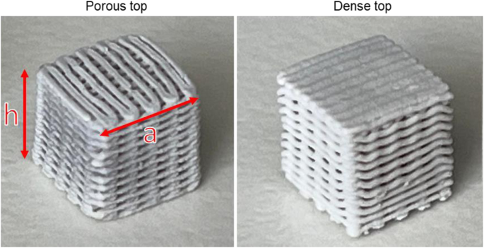 Pore graded borosilicate bioactive glass scaffolds: in vitro dissolution and cytocompatibility